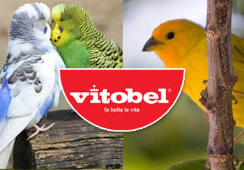 Box Vitobel per pagina uccellini