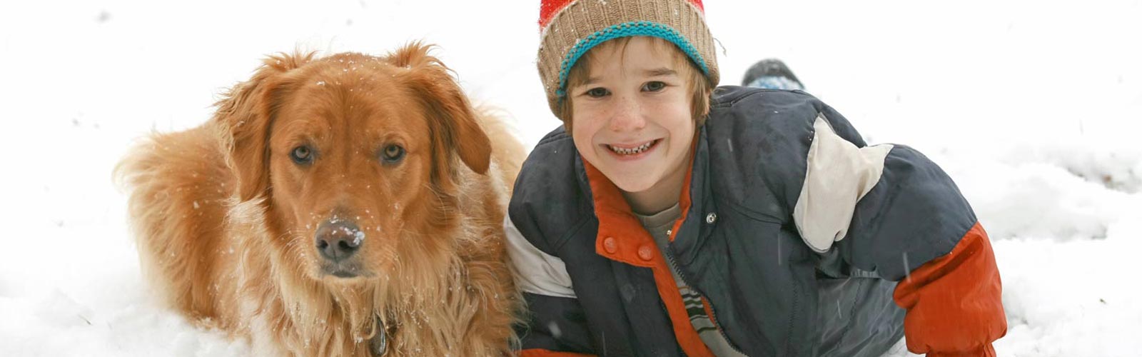 cane-e-bambino-sulla-neve
