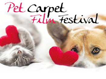 Pet Carpet Film Festival