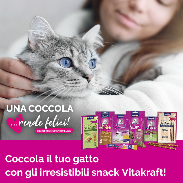 snack-gatti-rende-felici-mobile
