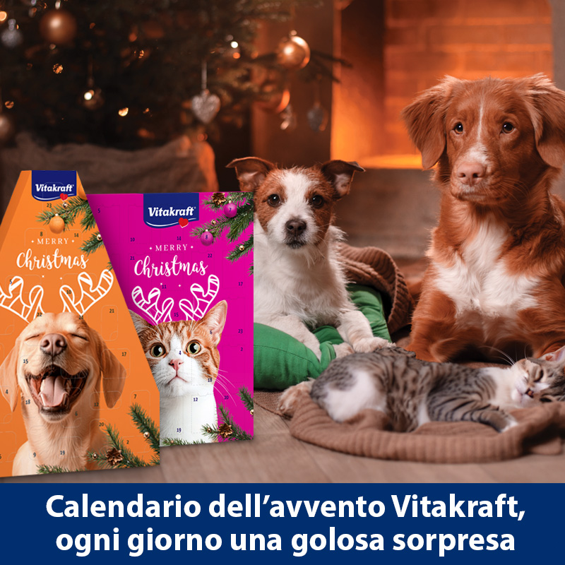 Testata-Home-Calendari-avvento-800x800-2